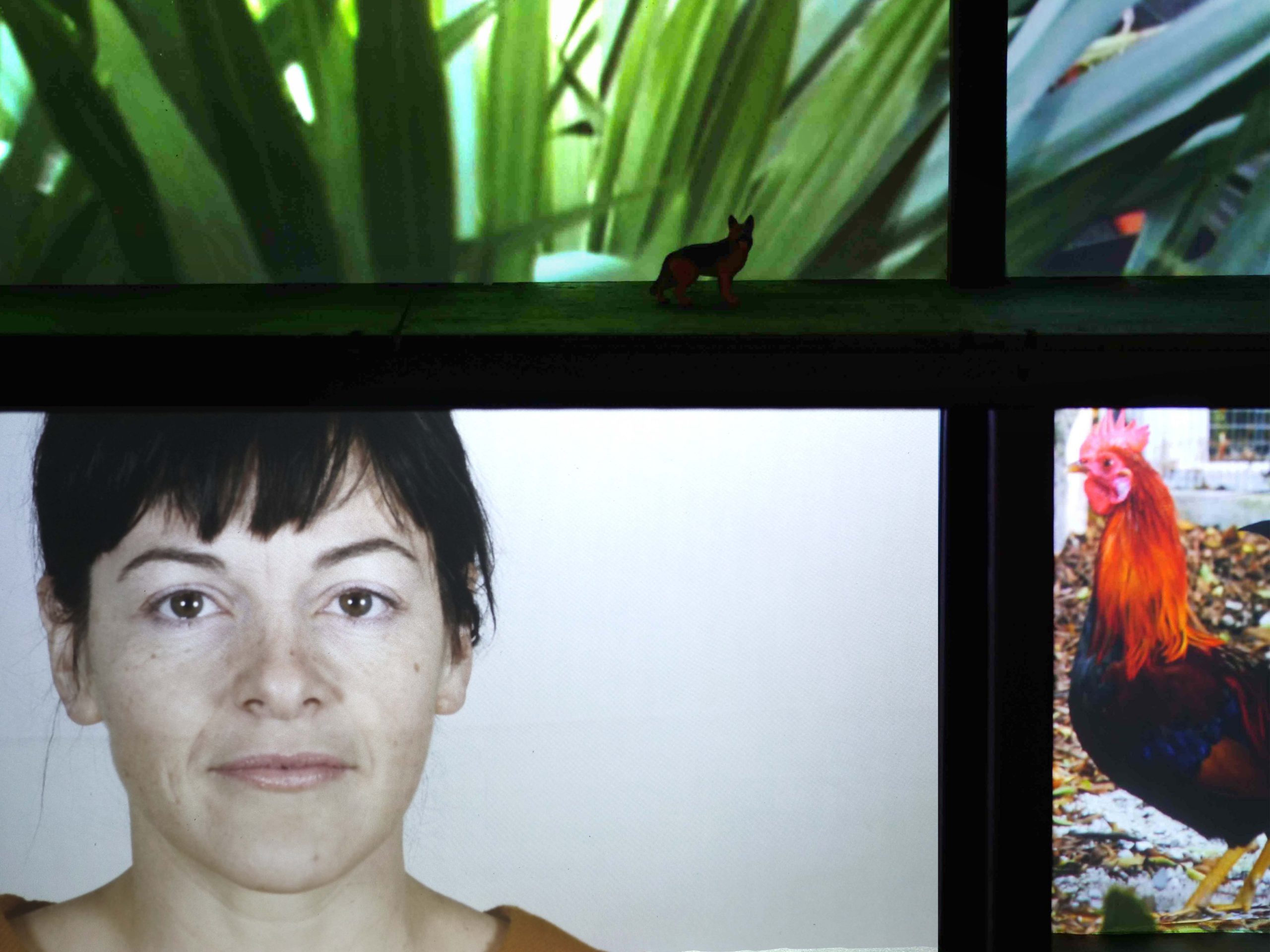 02_soifs_cr_stephanie-jasmin_p1033546_0