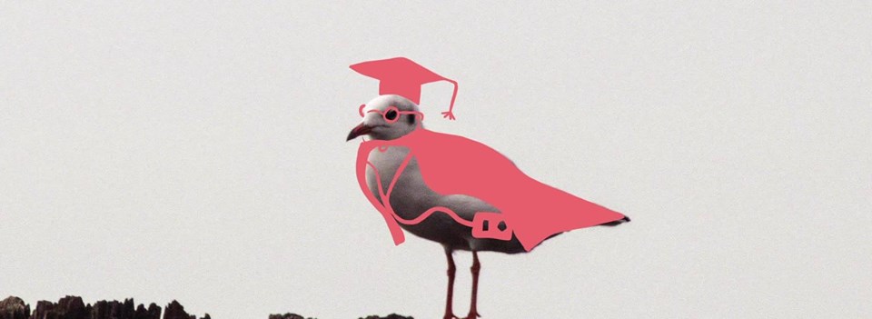 59295072_10156396032140829_1357498012460384256_n_0