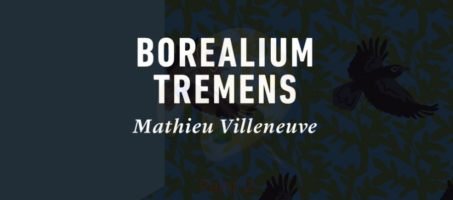 9782924519554_large_0