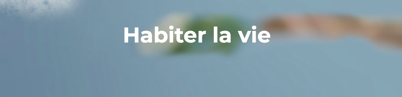 capture_decran_2020-05-26_a_14.15.52_0