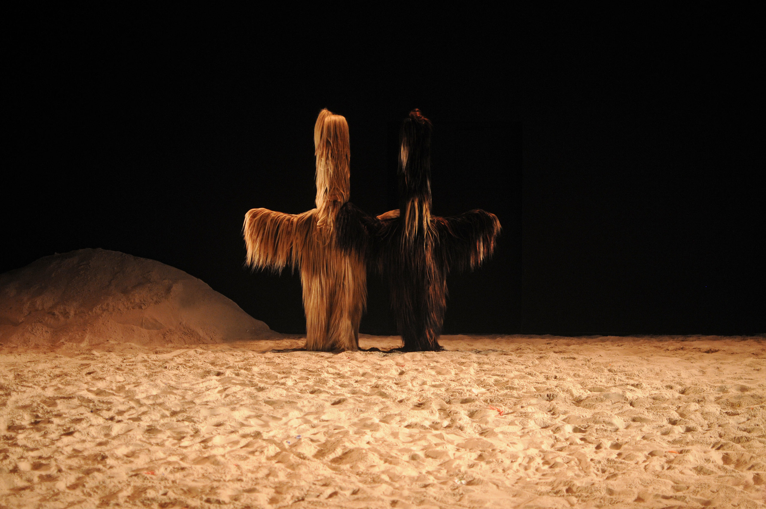 chiens_de_navarre_armoires_creu_teil_-r_lebruman_2015_dsc_6503_1_0