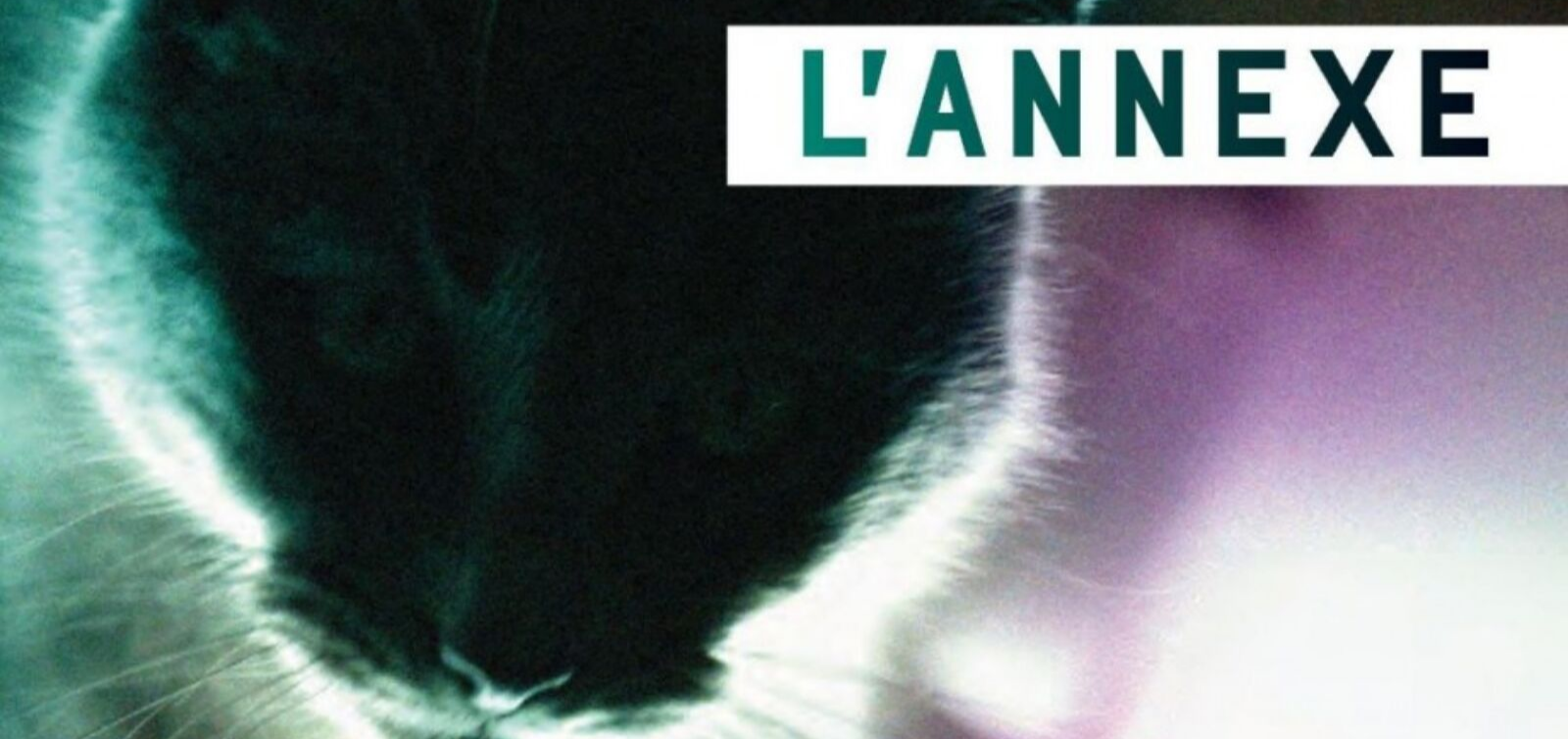 featuredimagelannexe_0