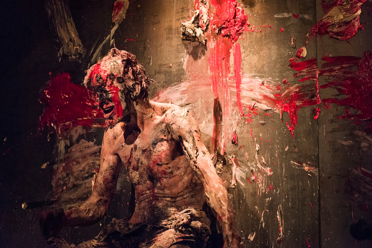 Festival Phénoména 2016