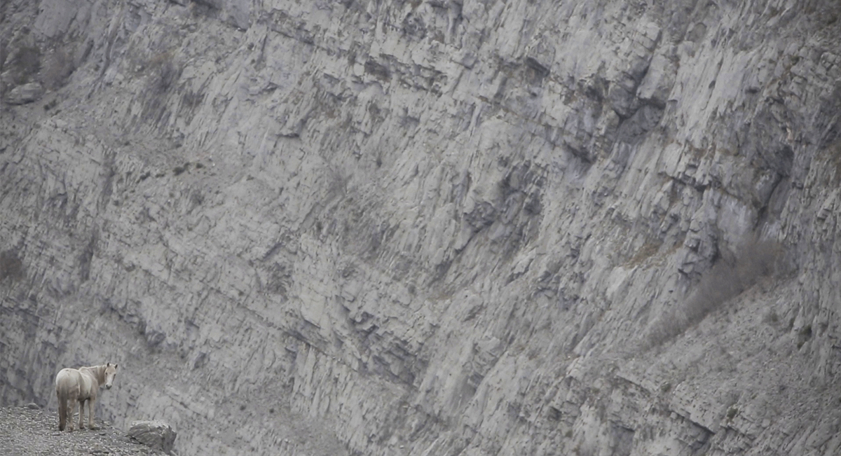 in_praise_of_nothing_still_01_0