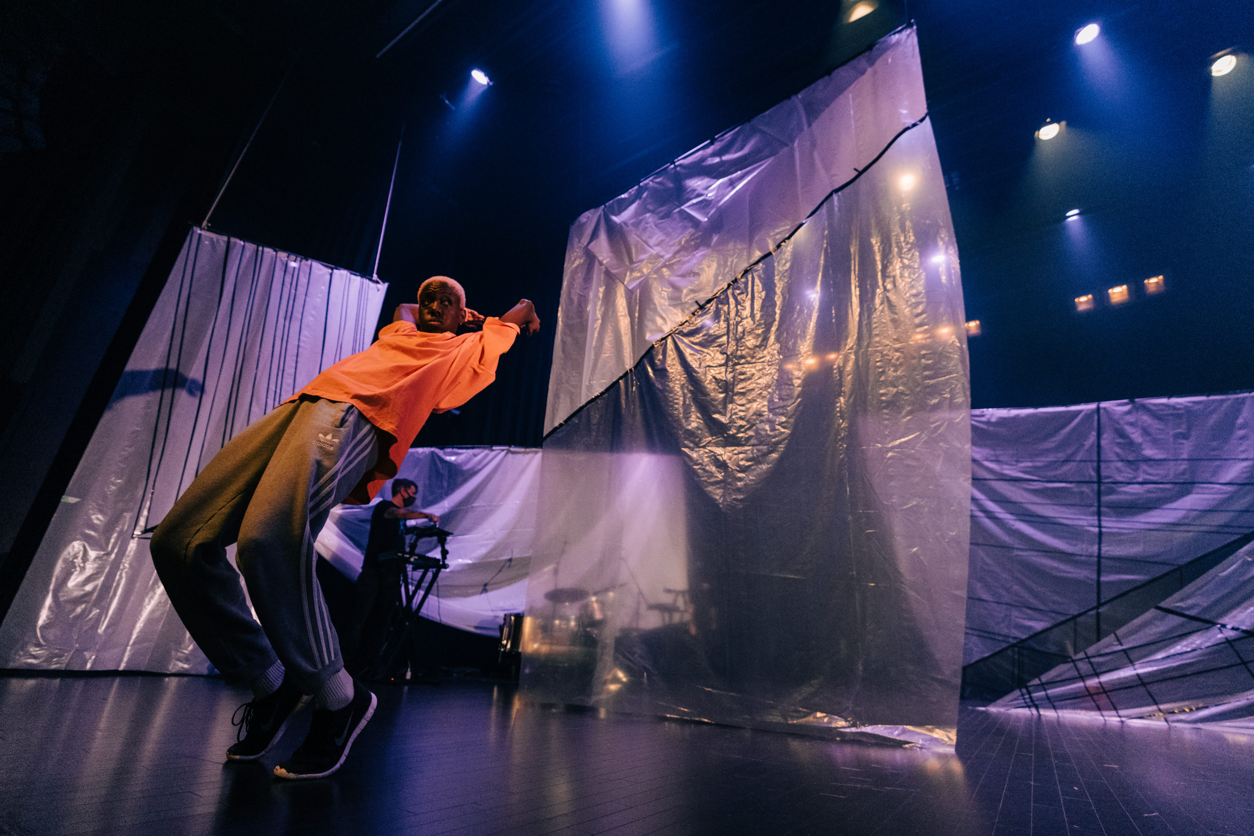 nindy_banks_papillon_dhelen_simard_photo_do_phan_hoi_5_of_170_-_copie_1