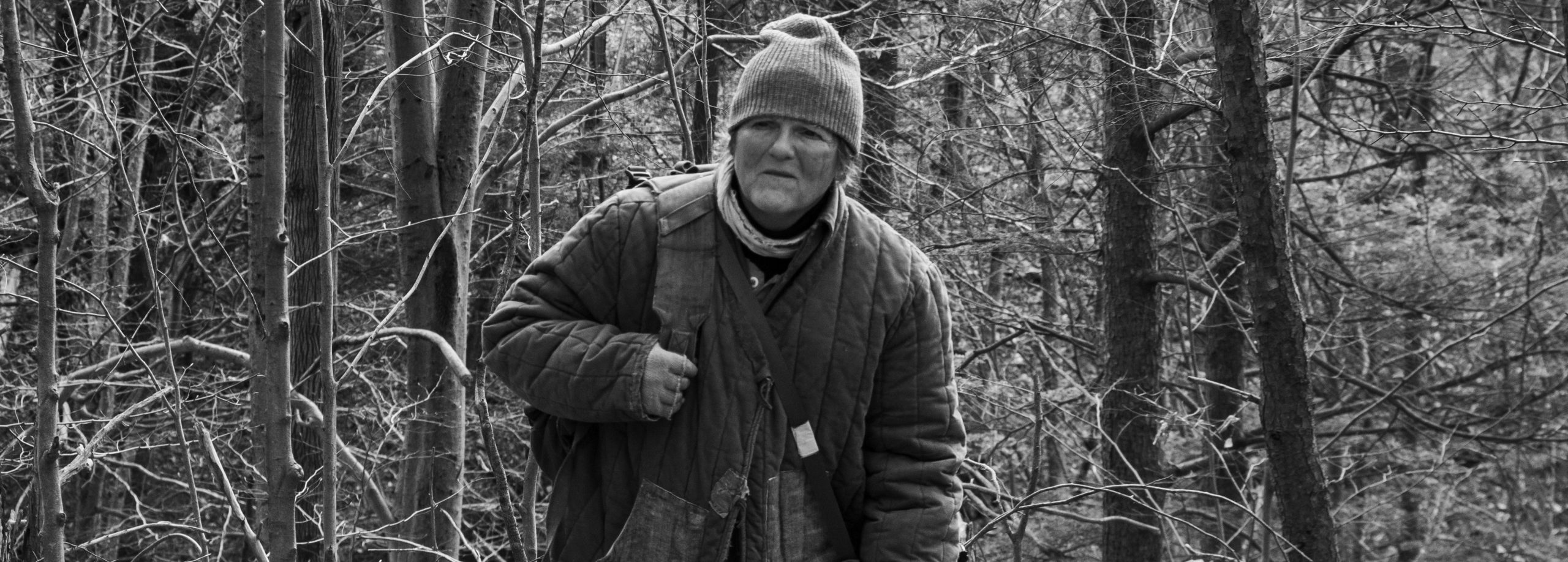 nulletracecarrousel_0