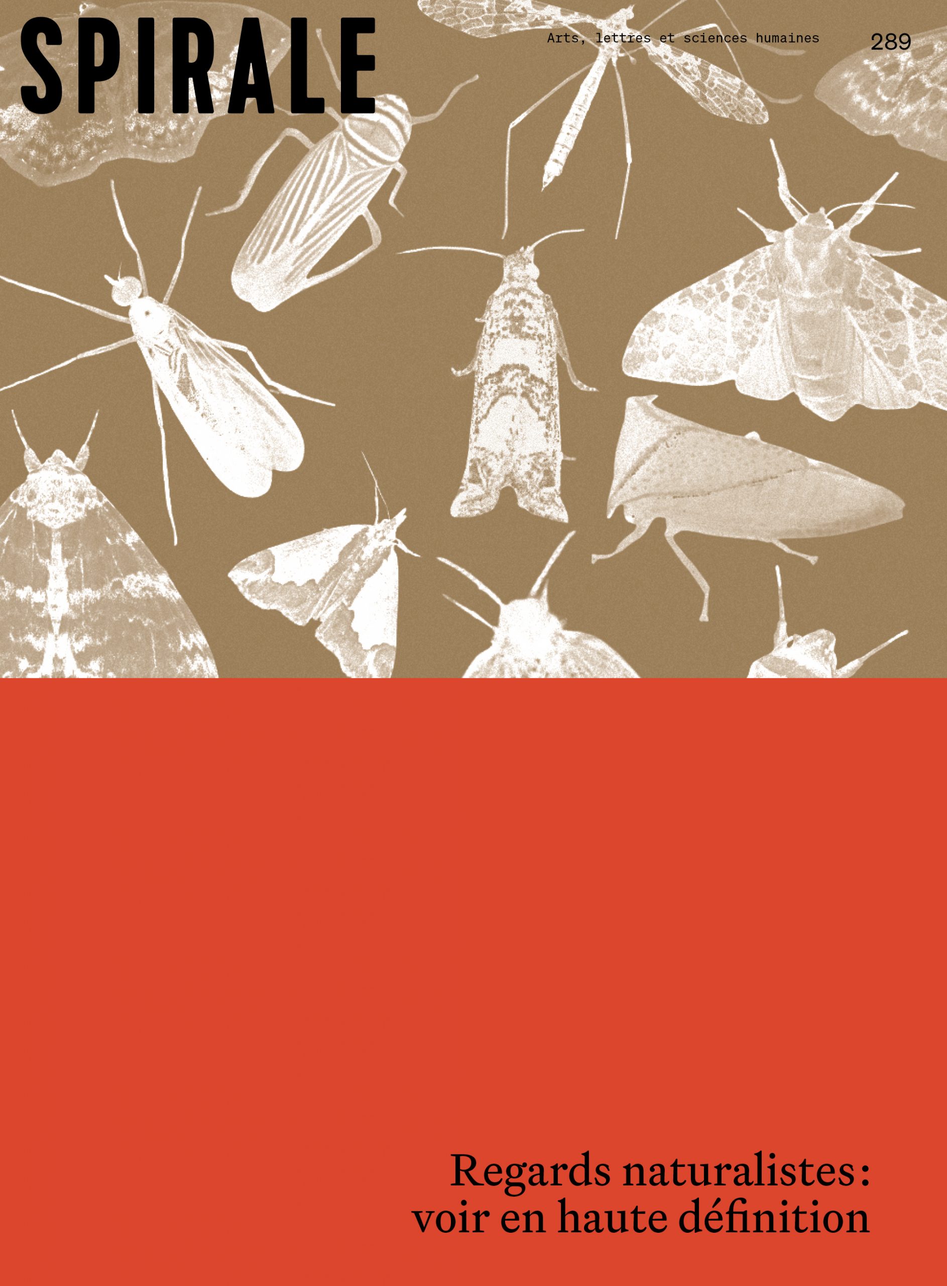 289 / REGARDS NATURALISTES: VOIR EN HAUTE DÉFINITION