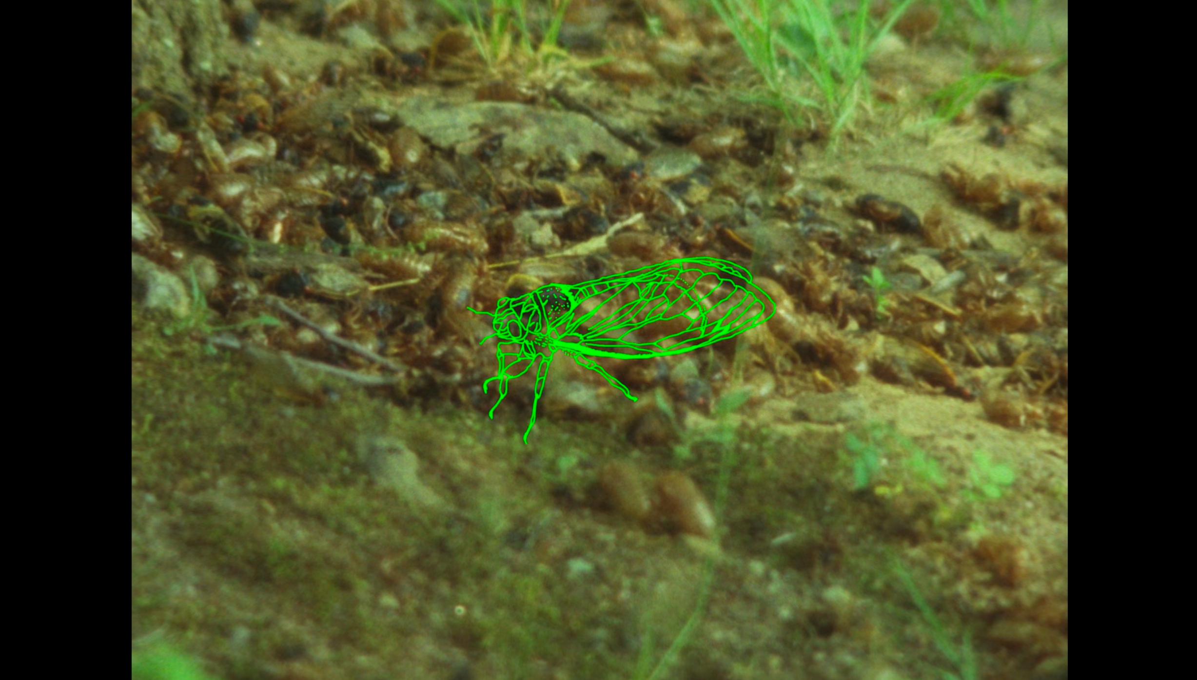 Eastern Anthems_Still 01