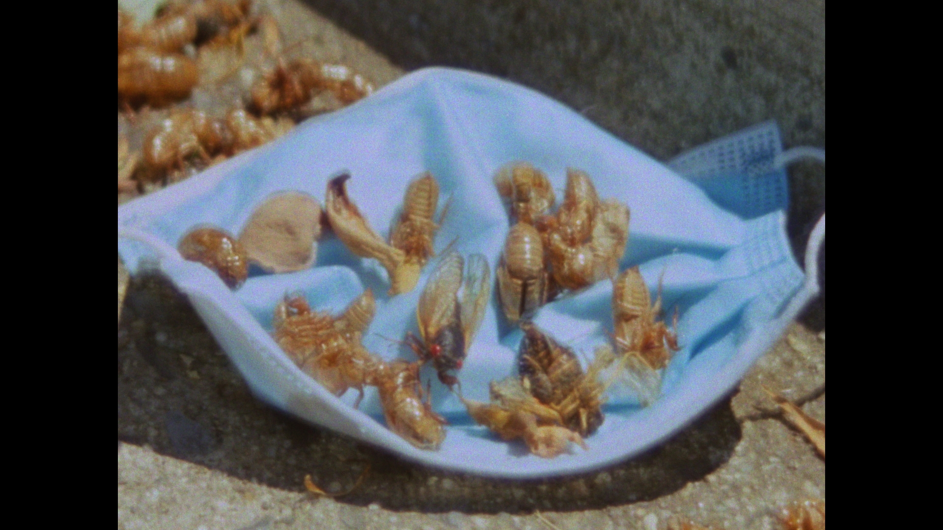 Eastern Anthems_Still 10